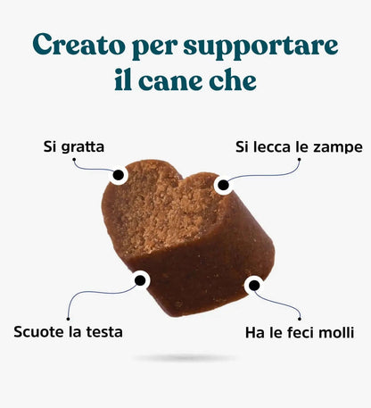Probiotico Digestivo
